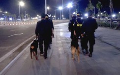 Cảnh sát Bình Định dùng chó nghiệp vụ chặn đua xe trái phép
