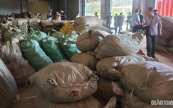 103 tấn dược liệu từ Trung Quốc "đội lốt" củ, quả nhập lậu vào cảng Tiên Sa