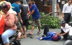 Một phụ nữ trọng thương vì cành cây rơi trúng khi đang đi xe máy