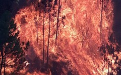 Nghệ An: Chưa dập được cháy rừng, gấp rút ngăn lửa lan đến nhà dân