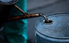 Giá xăng dầu hôm nay 1/7: Tăng hay giảm ngày đầu tháng?