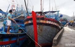 2 chủ tàu cá ở Bình Định bị phạt 1,8 tỷ do vi phạm vùng biển nước ngoài