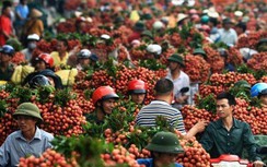 Xuất khẩu rau quả sang Trung Quốc giảm sâu, tăng mạnh ở các thị trường lớn