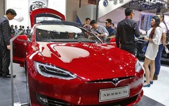 Nhà giàu, doanh nhân trẻ Hàn Quốc ồ ạt mua xe điện Tesla