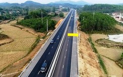 Những nhà đầu tư nào đấu thầu cao tốc Bắc - Nam đoạn Nha Trang - Cam Lâm?