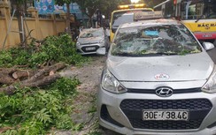 Hà Nội: Cây xà cừ đổ đè bẹp 3 ô tô trên đường Trần Hưng Đạo