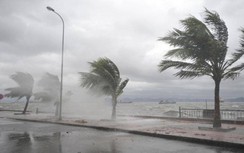 Thủ tướng yêu cầu tập trung ứng phó với áp thấp nhiệt đới và mưa lũ