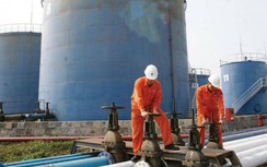 Giá xăng dầu hôm nay 3/8: OPEC+ tháo khóa sản xuất, giao dịch cẩn trọng