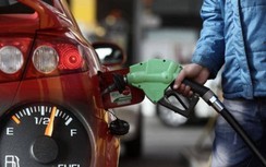 Xếp hạng mức tiêu hao nhiên liệu ô tô: Điều gì giúp xe ăn ít xăng, dầu?