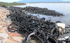 Hãi hùng hàng ngàn lốp xe cũ chất đống ở bờ biển để nuôi hàu