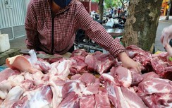 Lo dịch tả lợn Châu Phi, nhiều hộ chăn nuôi vội vàng bán tháo
