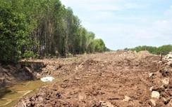 Công ty du lịch ở Quảng Trị bị phạt hơn 300 triệu đồng vì phá rừng