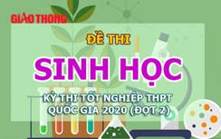 Đề thi môn Sinh học tốt nghiệp THPT năm 2020 đợt 2