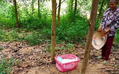 Bắc Giang: Bé gái sơ sinh bị bỏ ven đường với mẩu giấy “nhờ nuôi dùm"