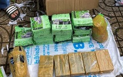 Gần 50kg ma túy ngụy trang trong thùng trái cây từ Campuchia về TP.HCM