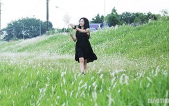 Cuối tuần, người Hà Nội nườm nượp tới chụp ảnh ở "thiên đường" hoa cỏ tranh