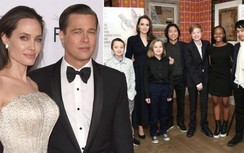 Brad Pitt lại có "âm mưu" gì đối với Angelina Jolie?