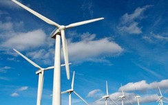 Tạm dừng xem xét thẩm định bổ sung quy hoạch các dự án điện gió