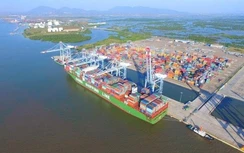 10/10 sẽ khởi công nạo vét luồng Vũng Tàu - Thị Vải
