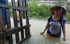 Đà Nẵng: Nỗ lực vận động người dân ra khỏi vùng ngập lụt