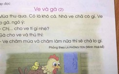 Dậy sóng SGK Tiếng Việt lớp 1: Bộ GD&ĐT xử lý ra sao?