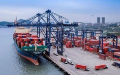 Bất chấp Covid-19, hàng container qua cảng biển vẫn tăng hai con số