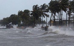 Bộ GTVT ra công điện khẩn yêu cầu huy động nguồn lực ứng phó bão số 8