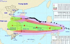 Đón bão số 8 giật cấp 10, miền Trung lại lo bão mạnh đổ bộ tuần tới