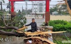 Chùm ảnh: Quảng Ngãi tan hoang sau bão số 9