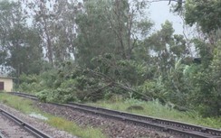Đường sắt tiếp tục bãi bỏ nhiều đoàn tàu Thống nhất do bão số 9