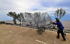 Gần 750 tỷ đồng xây dựng đê biển và kè chống sạt lở ở Cà Mau
