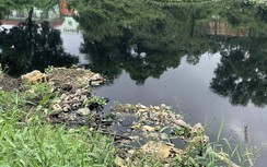Hơn 10 năm ô nhiễm nặng, vì sao kênh Tham Lương - Bến Cát vẫn chưa cải tạo?
