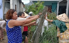 Người dân Quảng Nam "trắng tay" sau những trận cuồng phong, mưa lũ