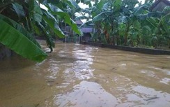 Nghệ An: Nhiều xã bị cô lập, nước ngập gần 2m không thể tiếp tế lương thực