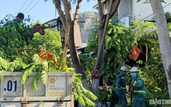 Bất thường hồ sơ dự án cây xanh Đà Nẵng: Chủ đầu tư thừa nhận sai sót