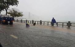 Bão số 12 ngày 10/11: Nhiều tỉnh miền Trung, Tây Nguyên mưa lớn