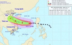 Bão số 13 đang ở cấp mạnh nhất, sóng biển dâng cao 10m