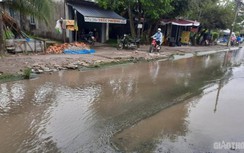 Cà Mau: Công an vào cuộc vụ đường Nguyễn Trãi phủ rong rêu, mất ATGT