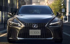 Cận cảnh Lexus IS 2021 ra mắt tại Nhật Bản, đậm chất thể thao