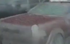 Video: Ô tô đóng băng hàng hoạt sau cơn mưa lạnh đầu Đông ở Vladivostok