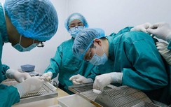 Bao giờ vaccine ngừa Covid-19 Việt Nam ra lò?