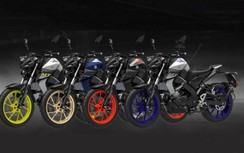 Yamaha MT-15 2021 bổ sung thêm gói tùy chọn 11 màu sắc