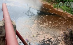 Ngừng cấp nước TP Sơn La do ô nhiễm nước thải sơ chế cà phê