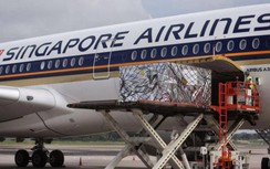 Singapore chuẩn bị máy bay vận chuyển vaccine