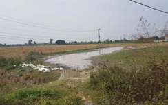 Bắc Ninh: Dự án bất động sản tư vấn bán đất nền trên đầm vịt