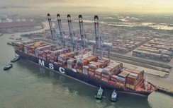 Tàu container gần 200 nghìn tấn cập cảng Quốc tế Cái Mép