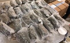 Gần 5kg ma túy lẫn trong lon thực phẩm chức năng từ Canada về Việt Nam