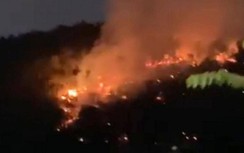 Gần 5 giờ khống chế đám cháy hơn 4 ha rừng ở TP Hạ Long