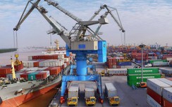 Phó Thủ tướng chỉ đạo xử lý nghiêm hành vi tăng giá thuê tàu và container