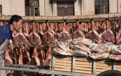Chùm ảnh: Thủ phủ của món thịt lợn xông khói ở Trung Quốc